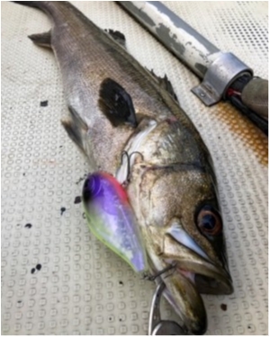 hideup 乃村弘栄 ブログ写真 2021/03/19