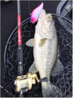 hideup 乃村弘栄 ブログ写真 2021/03/19