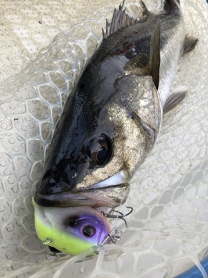 hideup 乃村弘栄 ブログ写真 2021/03/19