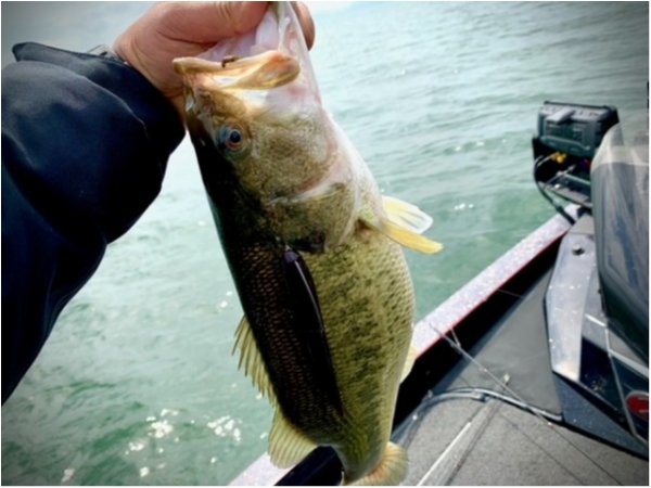 hideup 乃村弘栄 ブログ写真 2021/03/21