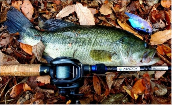 hideup 乃村弘栄 ブログ写真 2021/03/21