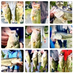 hideup 乃村弘栄 ブログ写真 2021/05/05