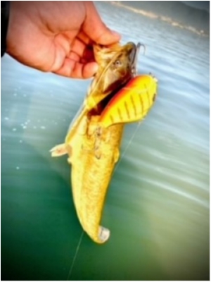 hideup 乃村弘栄 ブログ写真 2021/05/15