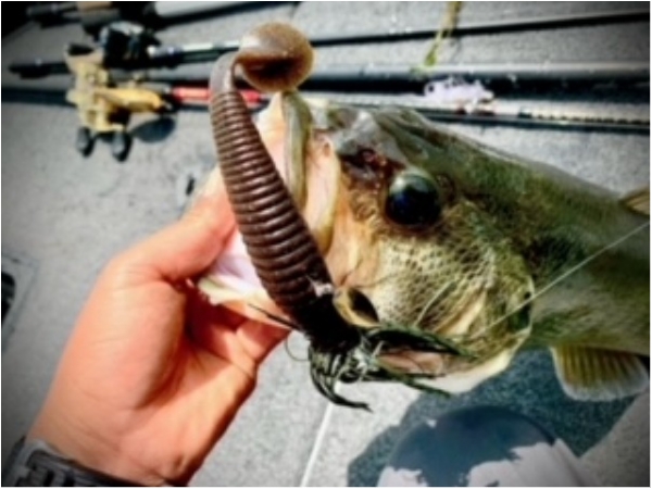 hideup 乃村弘栄 ブログ写真 2021/05/15