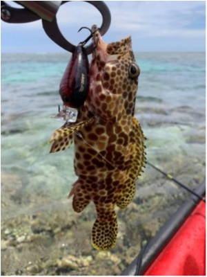 hideup 乃村弘栄 ブログ写真 2021/05/15