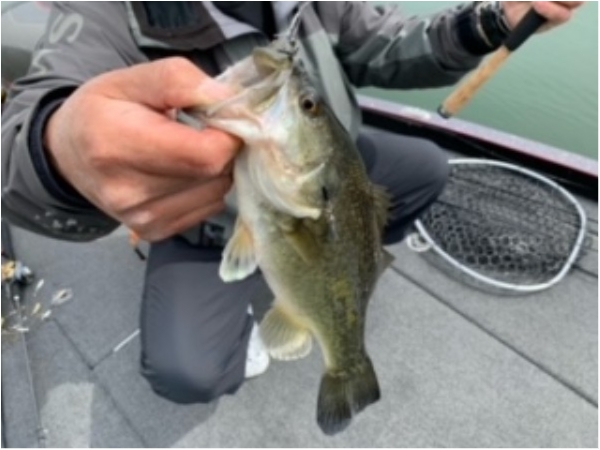 hideup 乃村弘栄 ブログ写真 2021/05/15