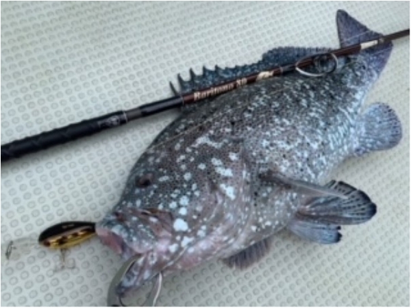 hideup 乃村弘栄 ブログ写真 2021/05/15