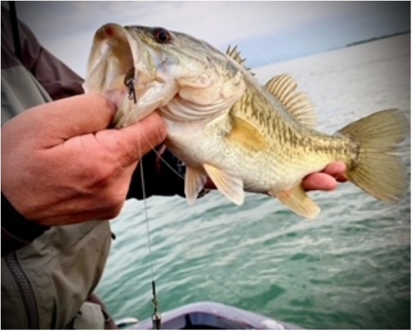 hideup 乃村弘栄 ブログ写真 2021/05/15