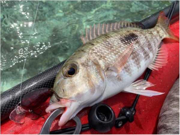 hideup 乃村弘栄 ブログ写真 2021/05/15