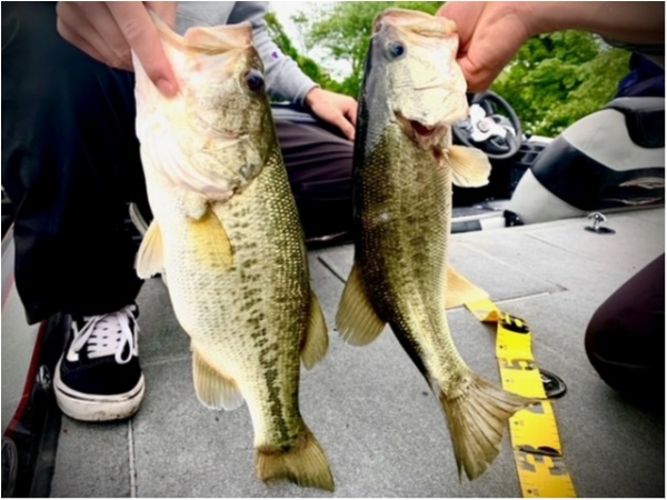 hideup 乃村弘栄 ブログ写真 2021/05/20