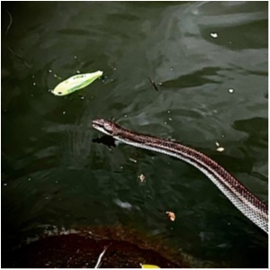 hideup 乃村弘栄 ブログ写真 2021/05/20