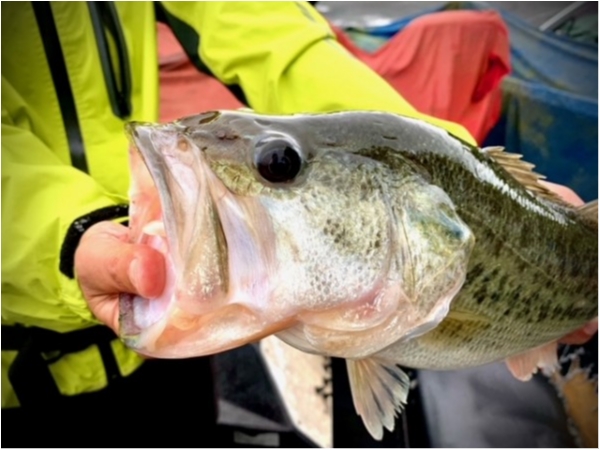 hideup 乃村弘栄 ブログ写真 2021/05/20