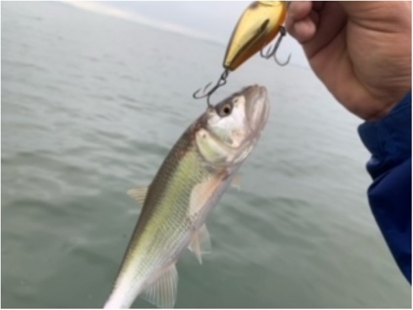 hideup 乃村弘栄 ブログ写真 2021/05/24