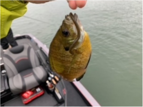 hideup 乃村弘栄 ブログ写真 2021/05/24