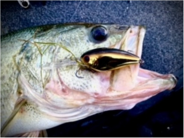 hideup 乃村弘栄 ブログ写真 2021/05/24