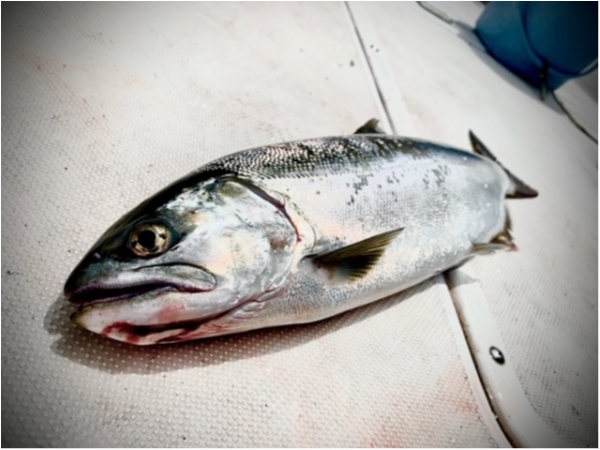 hideup 乃村弘栄 ブログ写真 2021/05/28