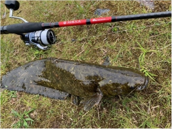 hideup 乃村弘栄 ブログ写真 2021/05/28