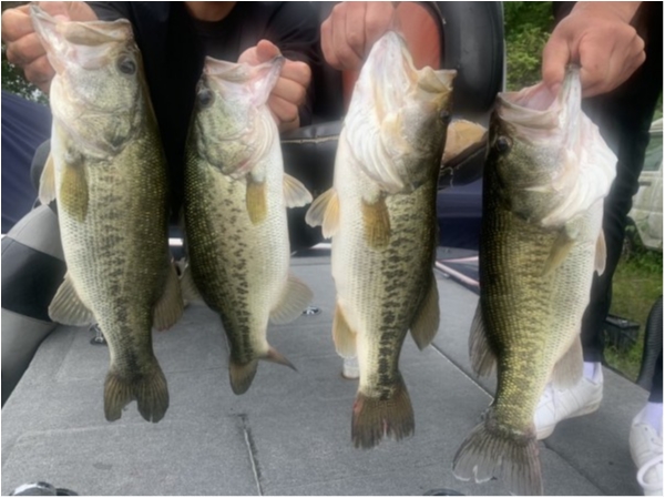 hideup 乃村弘栄 ブログ写真 2021/05/28