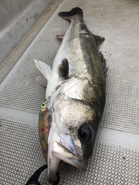 hideup 須江一樹 ブログ写真 2019/10/29