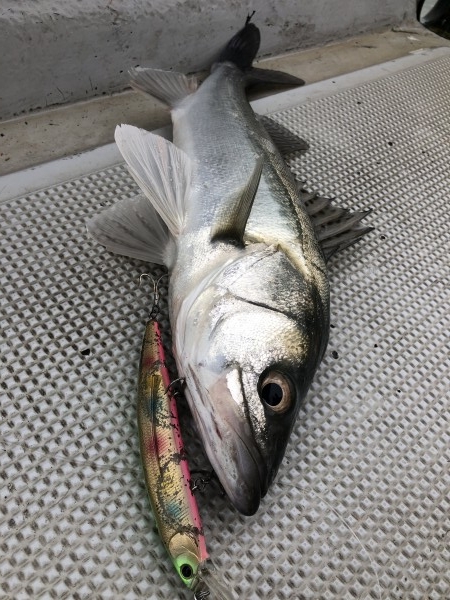 hideup 須江一樹 ブログ写真 2019/10/29