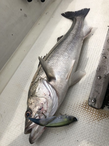 hideup 須江一樹 ブログ写真 2019/10/29