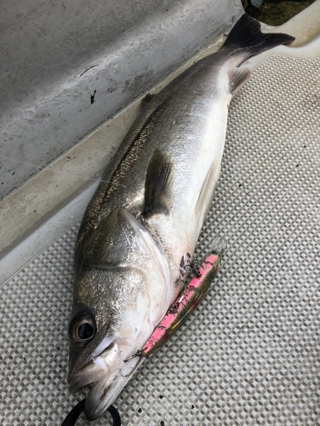 hideup 須江一樹 ブログ写真 2019/10/29