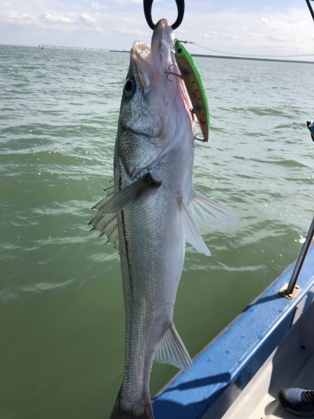 hideup 須江一樹 ブログ写真 2019/11/02