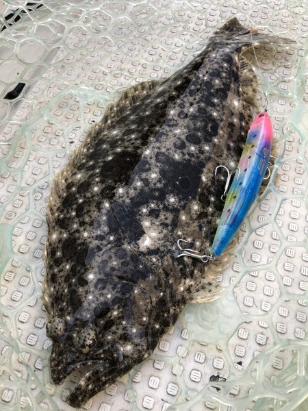 hideup 須江一樹 ブログ写真 2019/11/10