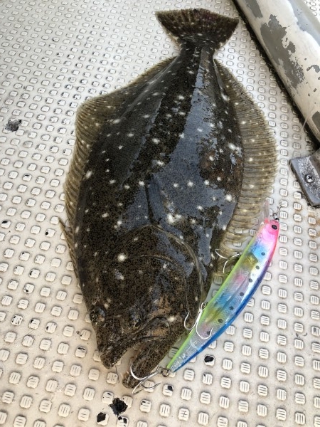 hideup 須江一樹 ブログ写真 2019/11/10