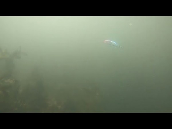 hideup 須江一樹 ブログ写真 2019/11/16