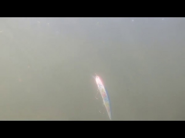 hideup 須江一樹 ブログ写真 2019/11/21