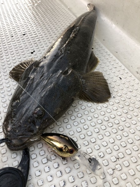 hideup 須江一樹 ブログ写真 2019/11/22