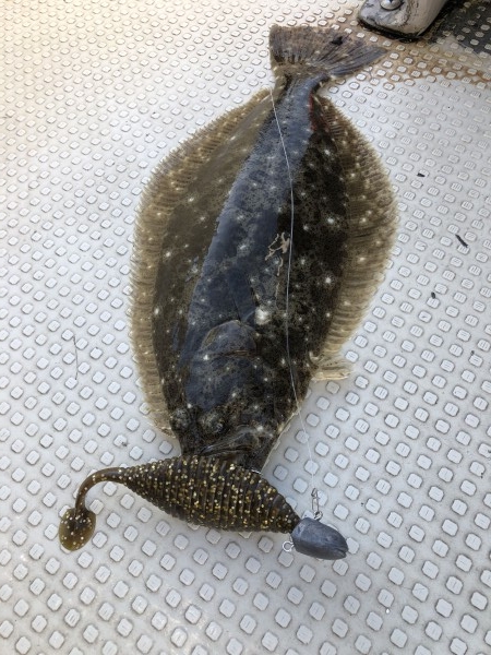 hideup 須江一樹 ブログ写真 2019/11/22