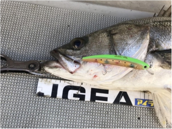 hideup 須江一樹 ブログ写真 2019/11/26