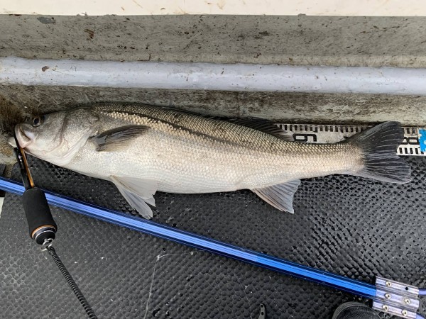 hideup 須江一樹 ブログ写真 2019/12/09