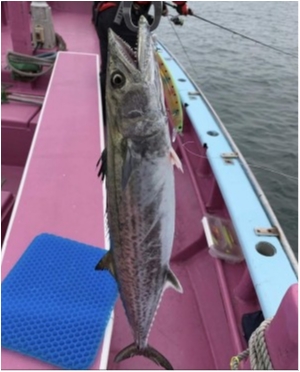 hideup 須江一樹 ブログ写真 2019/12/09