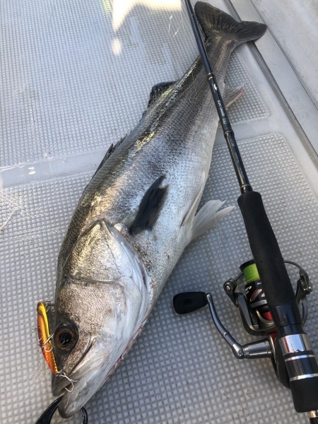 hideup 須江一樹 ブログ写真 2020/01/05