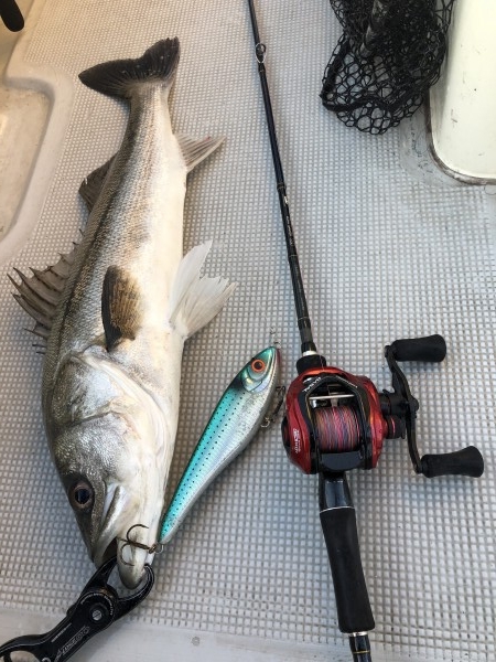 hideup 須江一樹 ブログ写真 2020/01/05