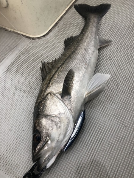 hideup 須江一樹 ブログ写真 2020/01/07