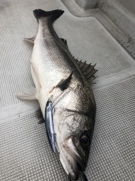 hideup 須江一樹 ブログ写真 2020/01/07