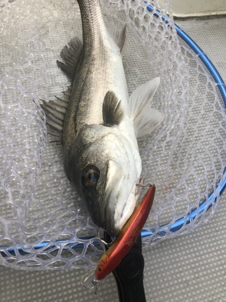 hideup 須江一樹 ブログ写真 2020/01/16