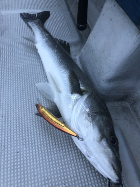 hideup 須江一樹 ブログ写真 2020/01/16