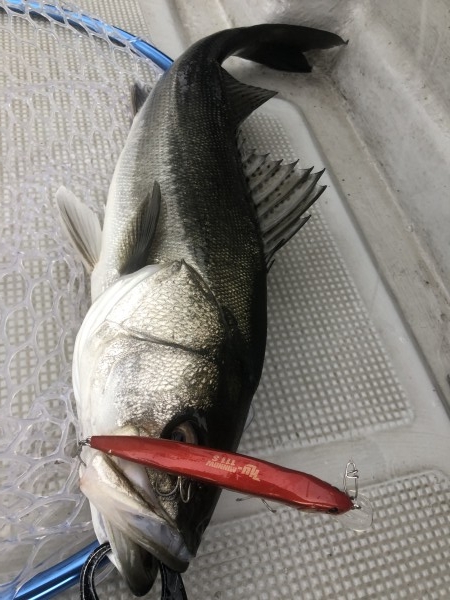 hideup 須江一樹 ブログ写真 2020/01/22