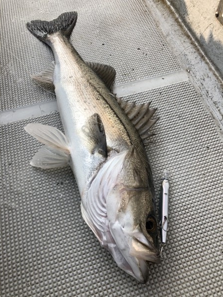 hideup 須江一樹 ブログ写真 2020/01/24