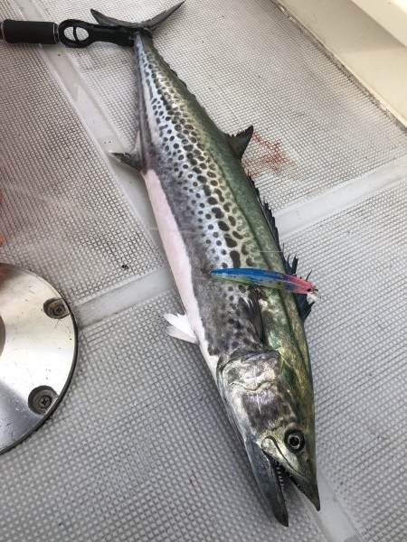 hideup 須江一樹 ブログ写真 2020/01/29