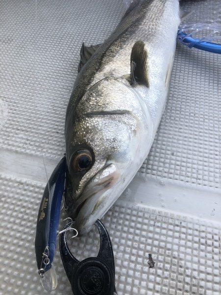 hideup 須江一樹 ブログ写真 2020/01/29