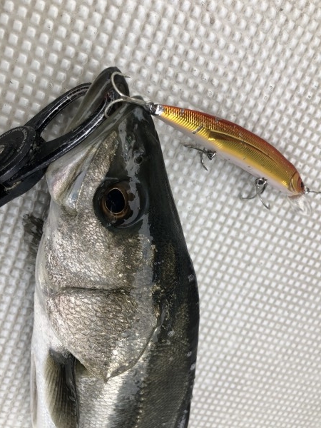 hideup 須江一樹 ブログ写真 2020/01/30