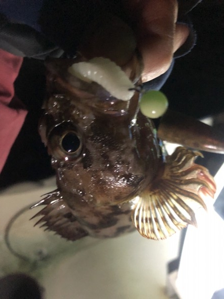 hideup 須江一樹 ブログ写真 2020/02/01