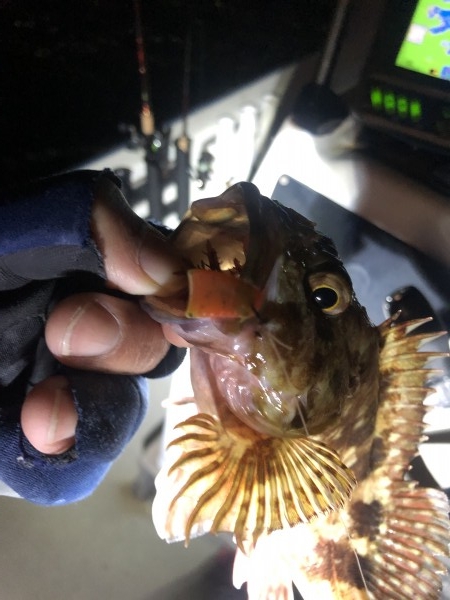 hideup 須江一樹 ブログ写真 2020/02/01