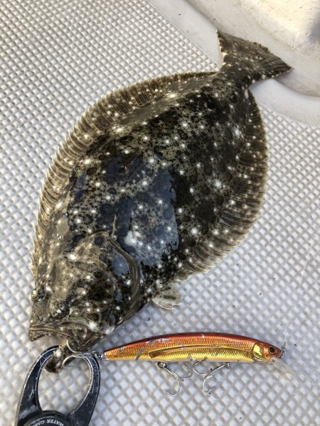 hideup 須江一樹 ブログ写真 2020/02/05